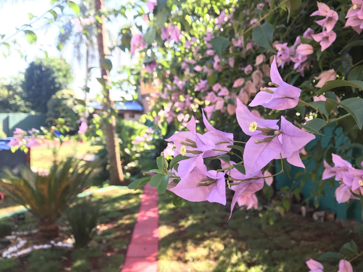 Hotel Amayal Puerto Iguazú Kültér fotó